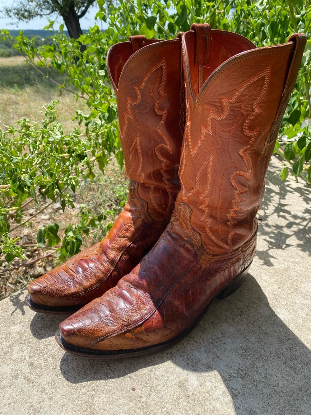 Lucchese Brown Lizard Men’s 11D Cowboy Boots Style N1121 Luxury Western